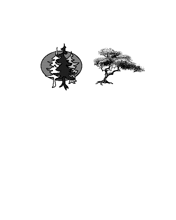 Cypress+3 Trees